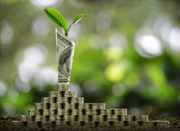 Rolled up dollar bill with sprout growing out of it, on top of stacks of coins.