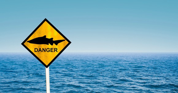 Road sign marked "danger" with a shark image on it, and sea behind.