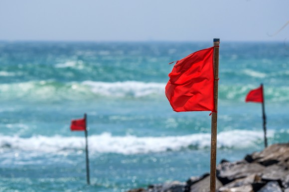 Red flags planted on a beach with ocean behind.