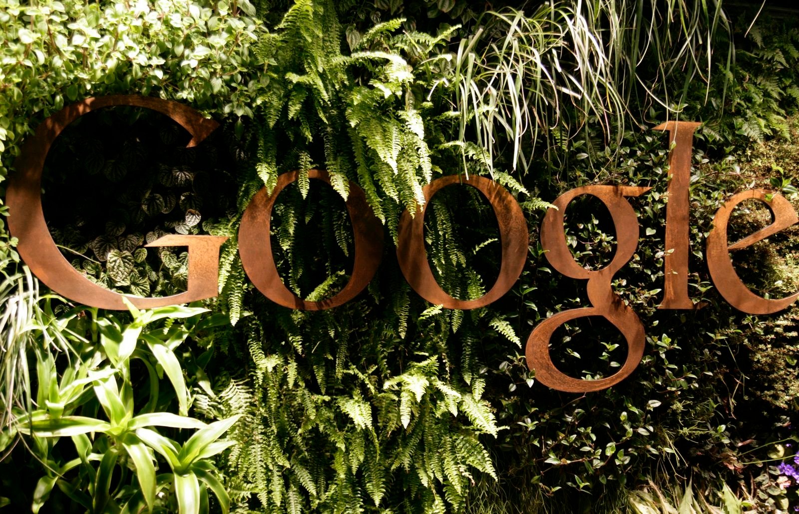 The reception area at the Google office in Sydney, Australia full of plants surrounding the Google logo. 