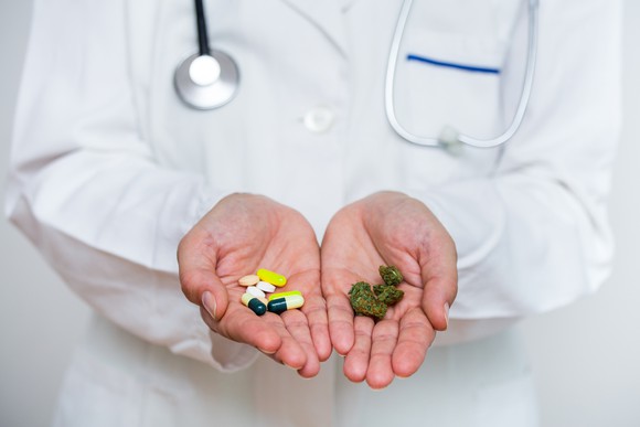 Doctor holding pills in one hand and marijuana buds in the other