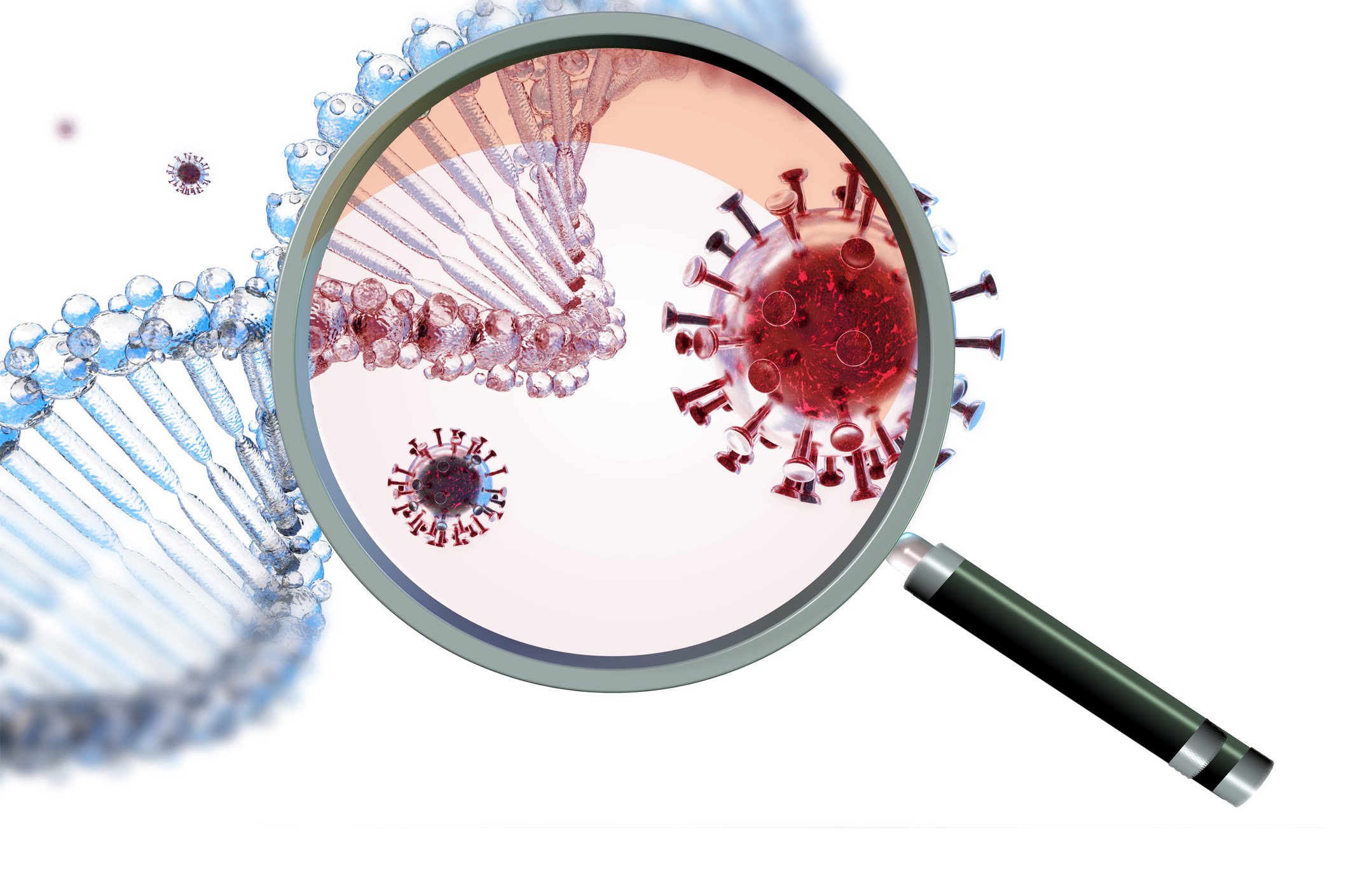 Magnifying glass over coronavirus and DNA double helix