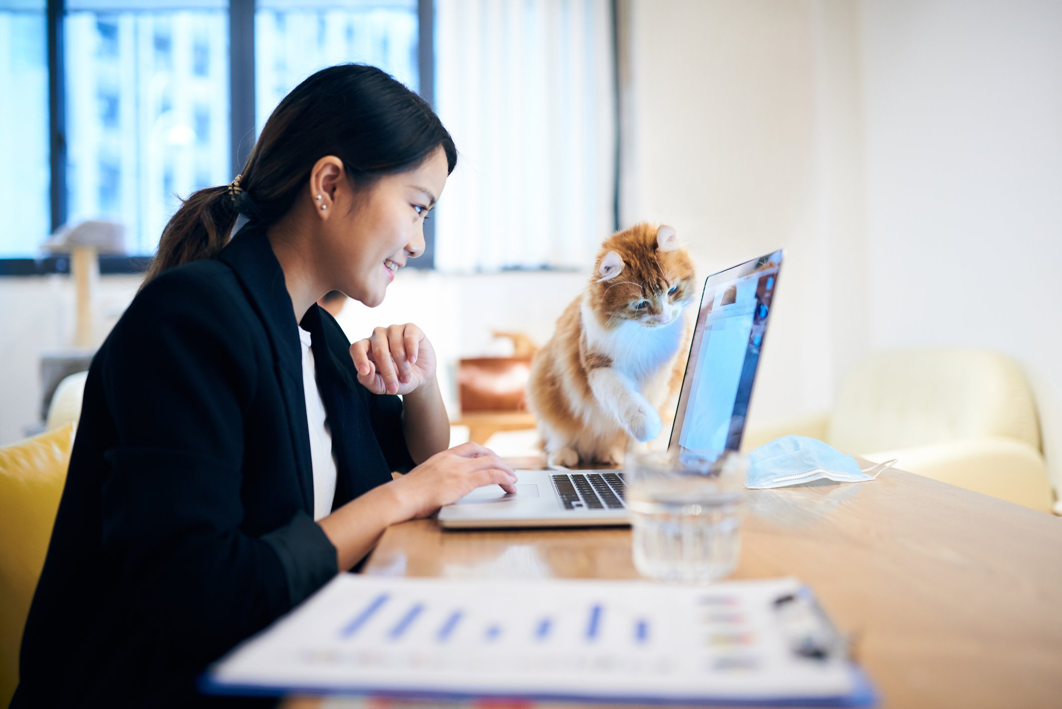 Woman working from home on laptop while her cat sits near the keyboard