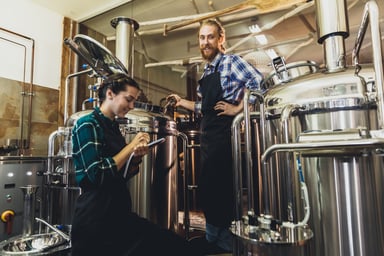 Beer Brewing