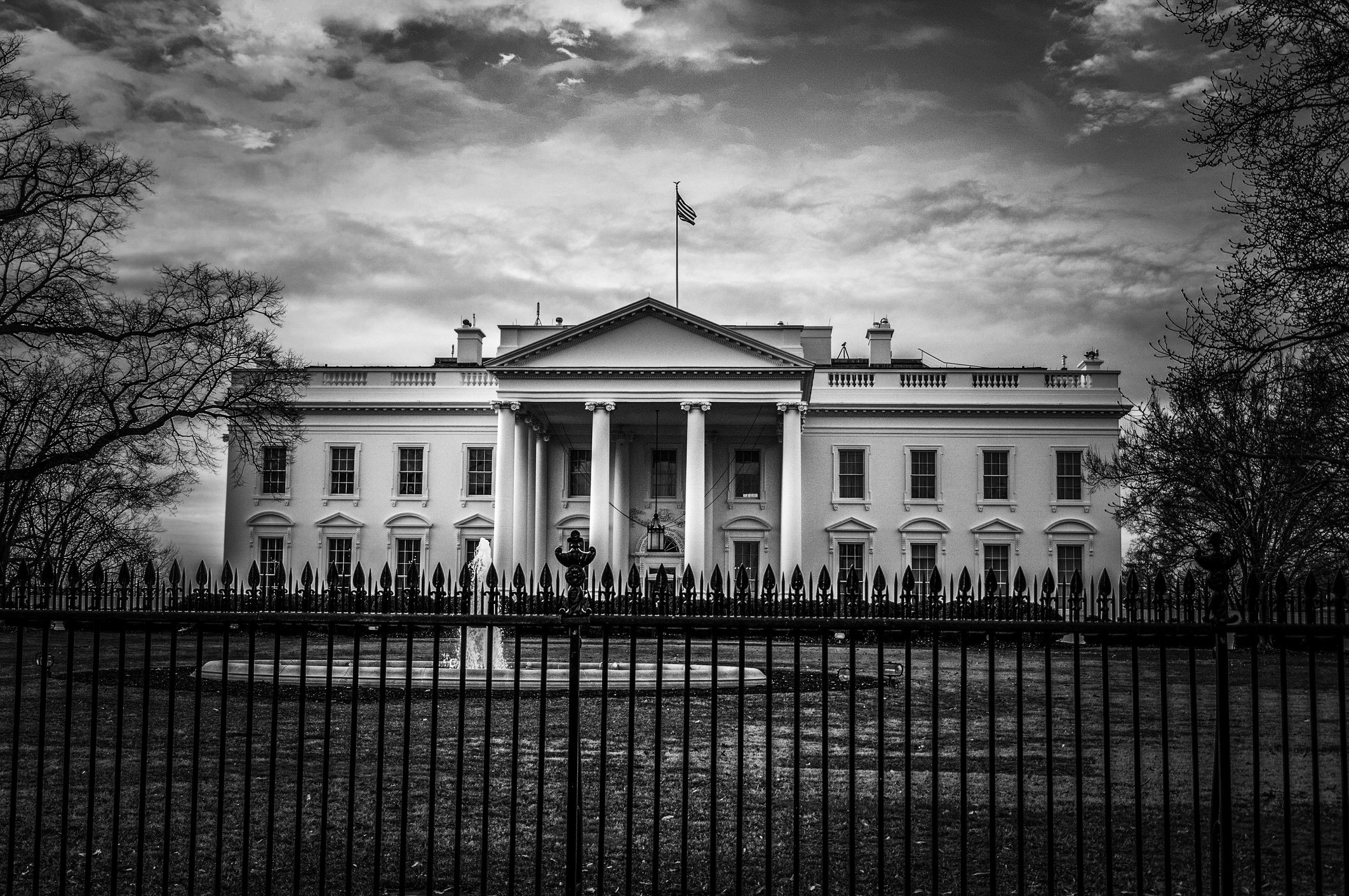 white house