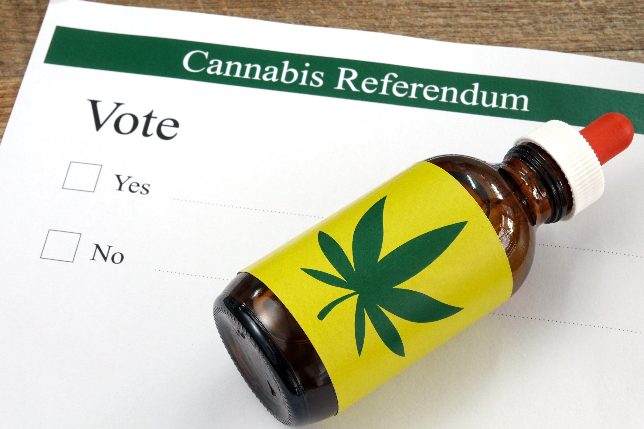 Close up cannabis oil extract in a bottle on referendum ballot