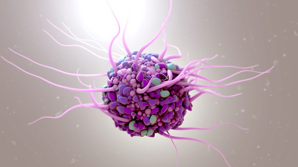 3-D illustration of a dendritic cell. 