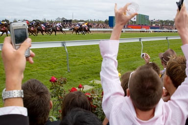 Horse Racing Fans