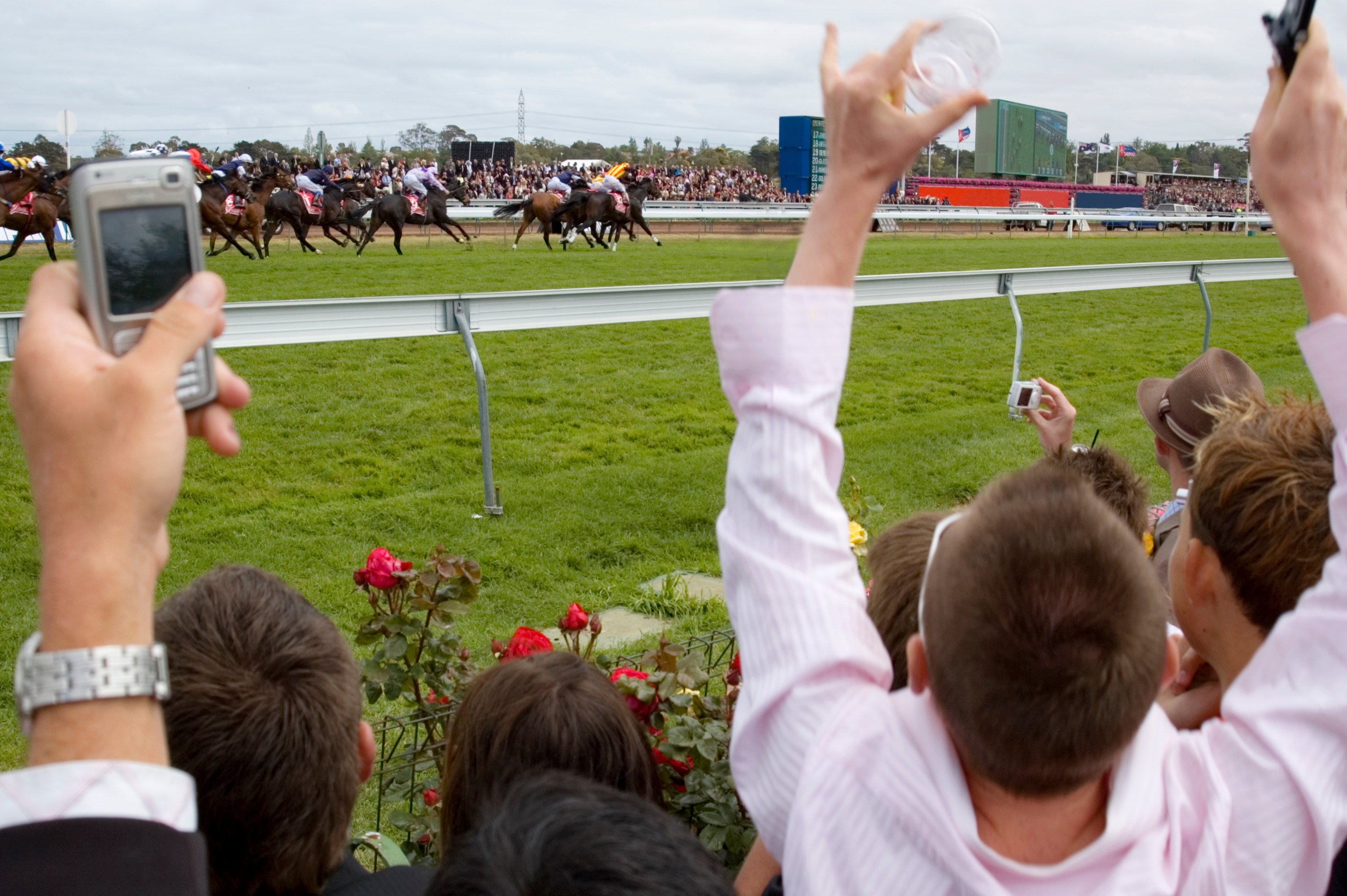 Horse Racing Fans
