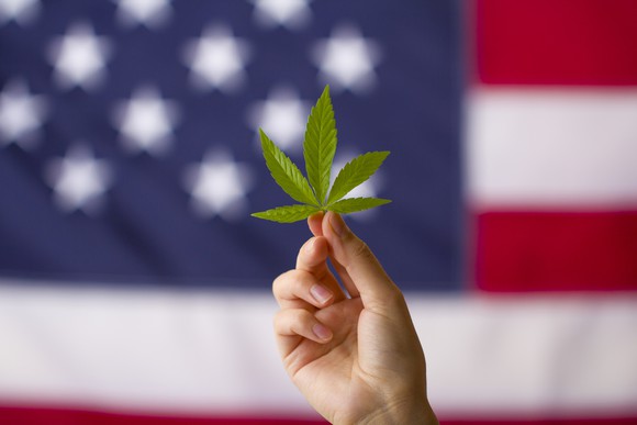 Cannabis leaf with the American flag in the background.