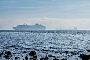 Cruise Ship Sea Mist