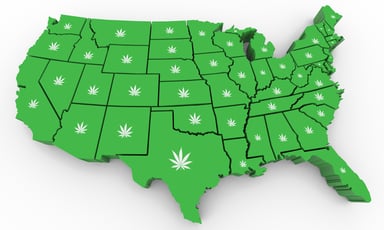 U.S. map with cannabis leaves on each state