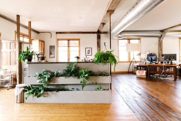 A large room with a wooden floor, a shelf of green plants, and a desk with computers on top.