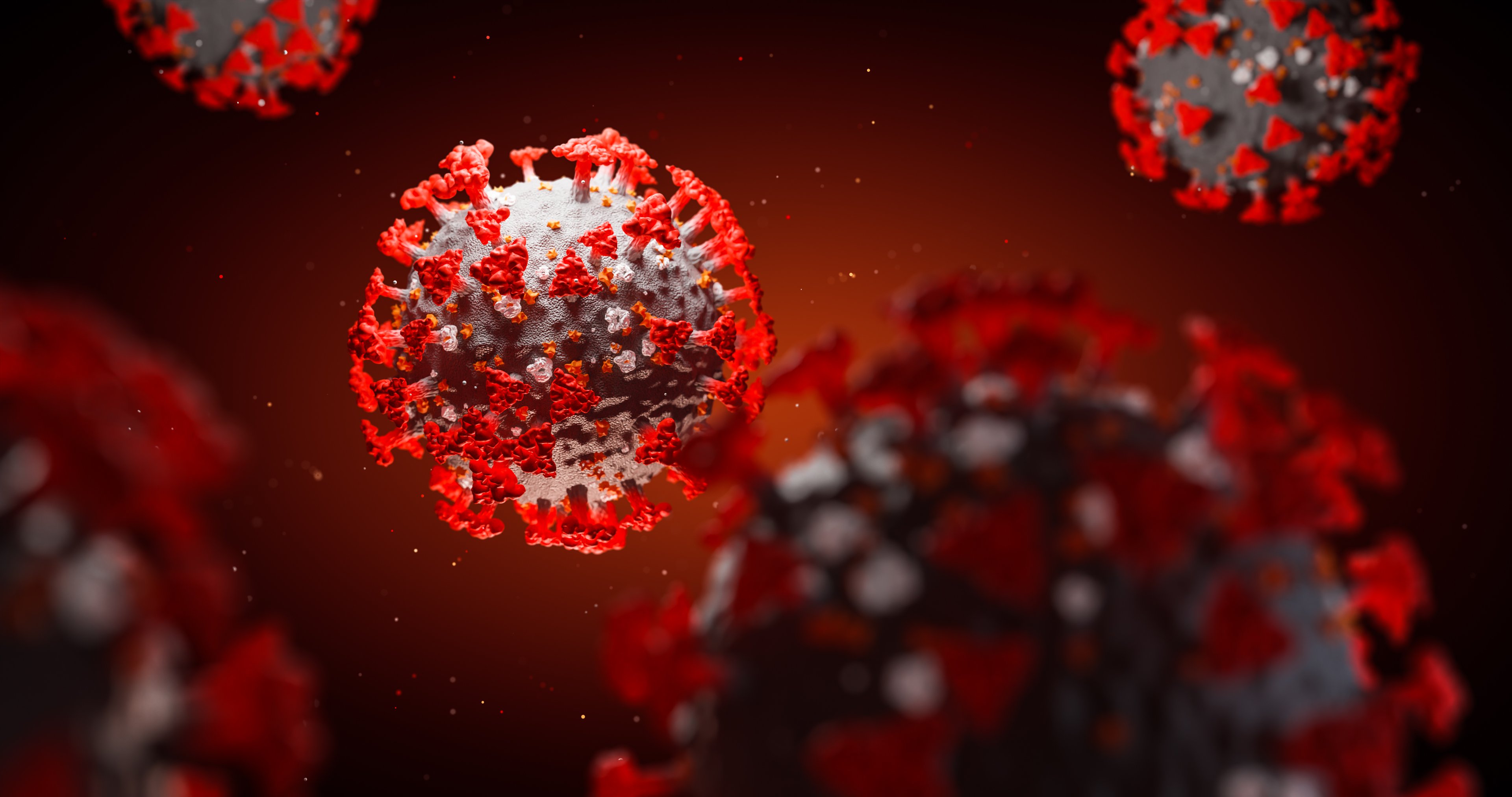Up close image of the novel coronavirus.