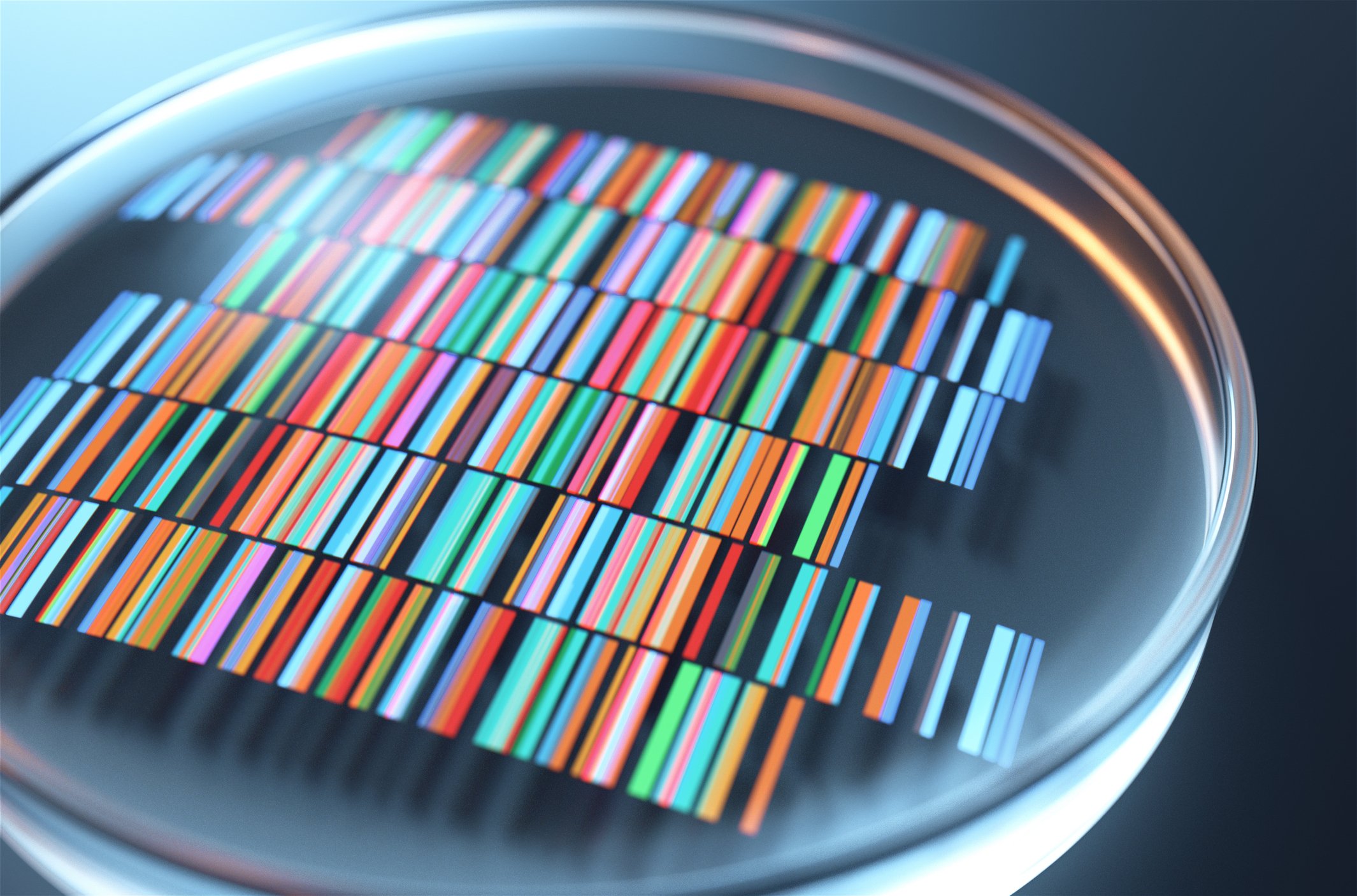 A circular glass on top of color-coded DNA sequences. 