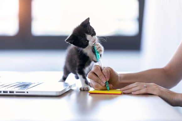 kitten playing with pen as woman writes on yellow sticky pad