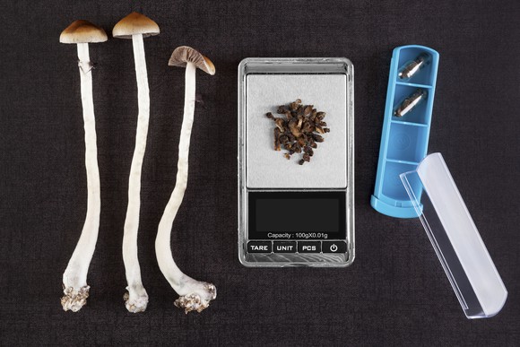 psychedelic mushrooms and lab scale being used for research