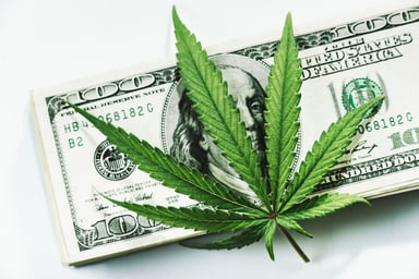 Cannabis leaf on $100 bill