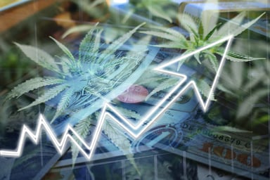 Cannabis with chart trending up