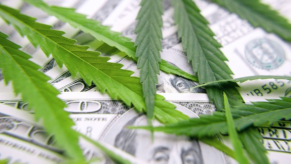 Cannabis leaves on $100 bills