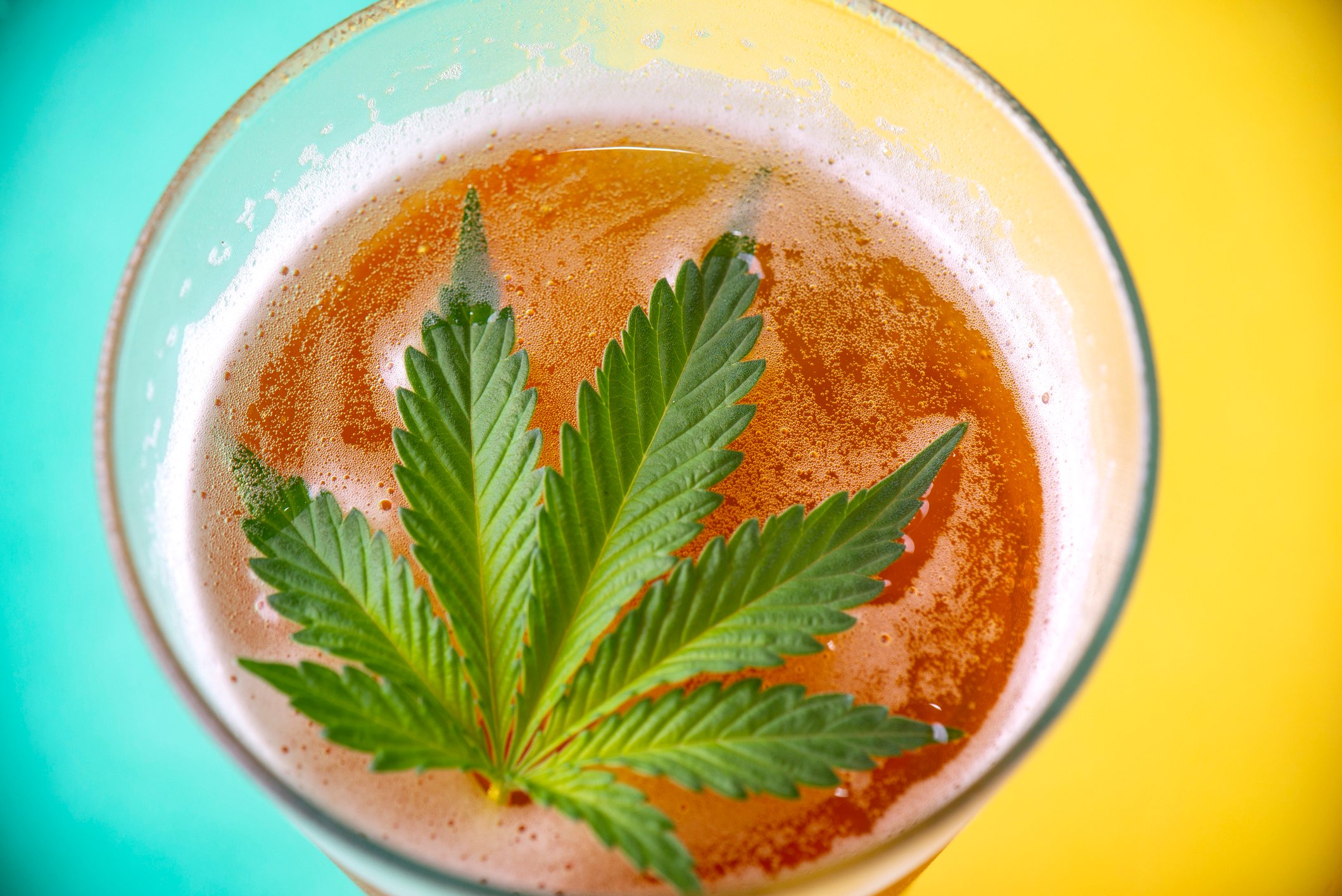 Cannabis leaf floating in a beverage.