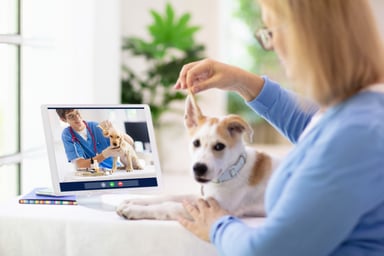 Pet Telehealth