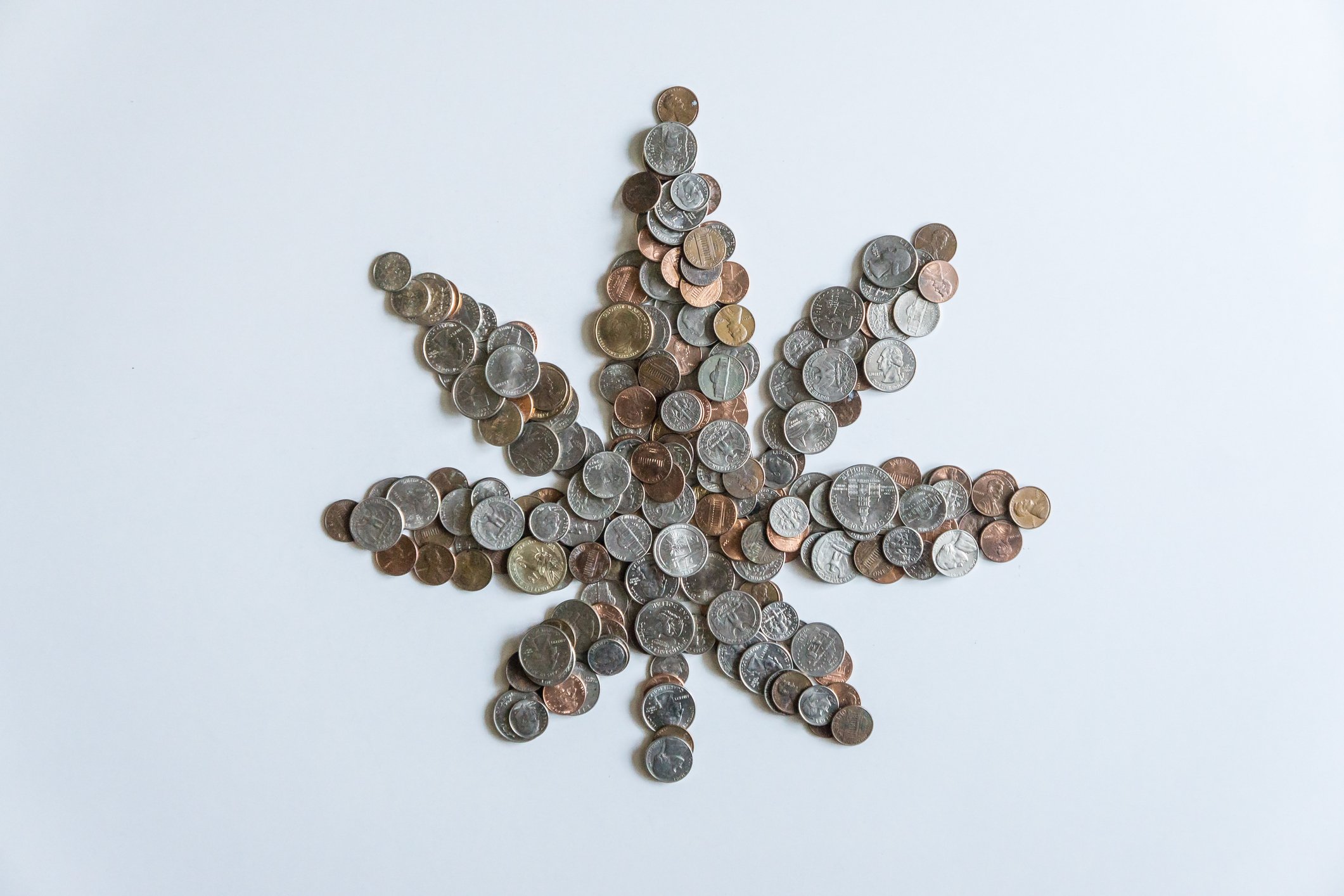 marijuana leaf made up coins