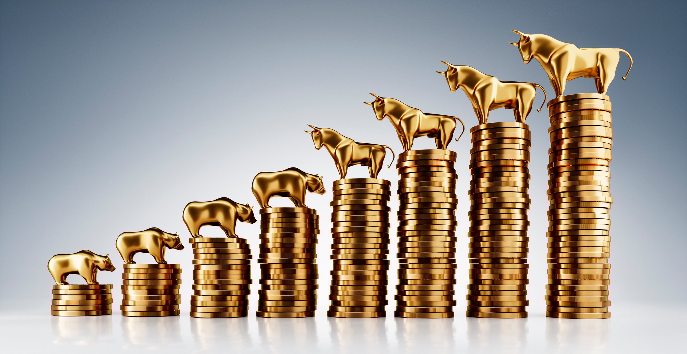 Bull and Bear Coin Chart