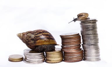 Snails and coins