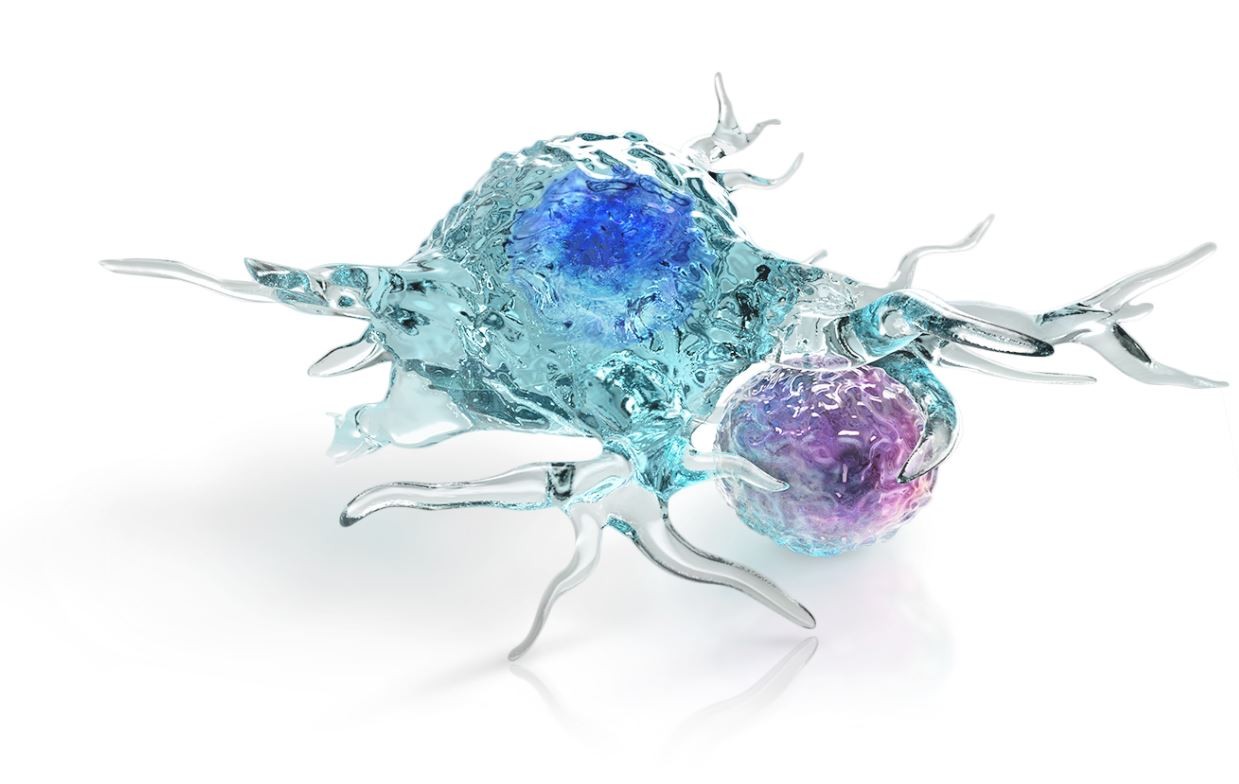 Sculpture of body's immune system attacking a cancer cell.