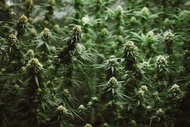 GettyImages-1269998501