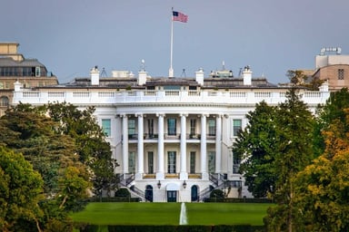 the_White_House_and_trees.original