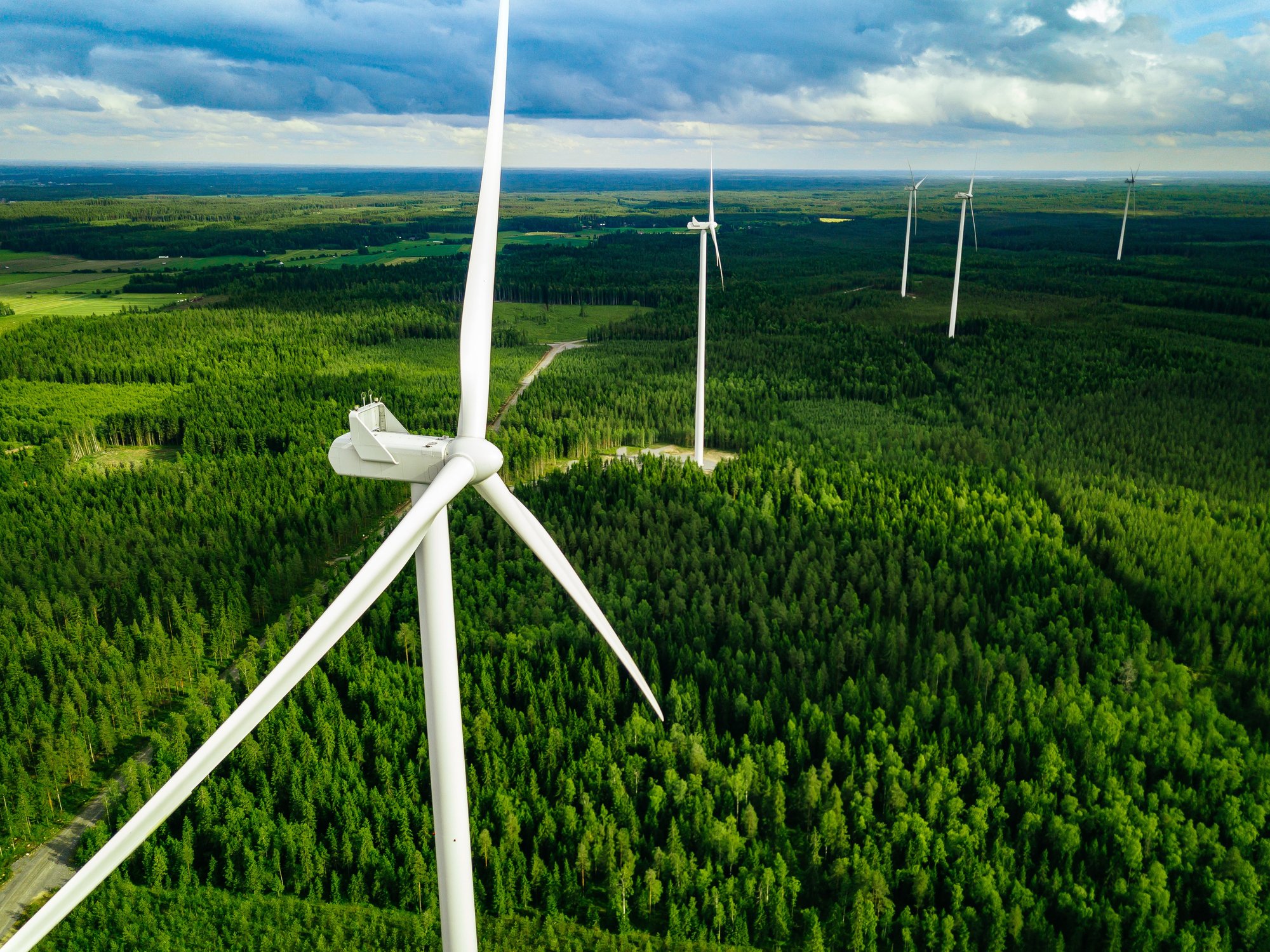 wind turbines forest