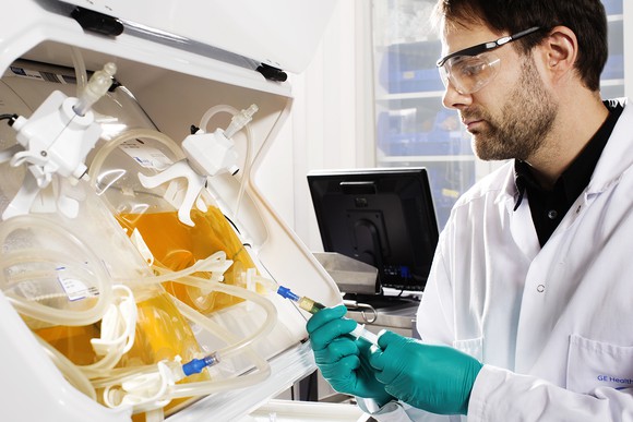 A researcher working on a lab sample.