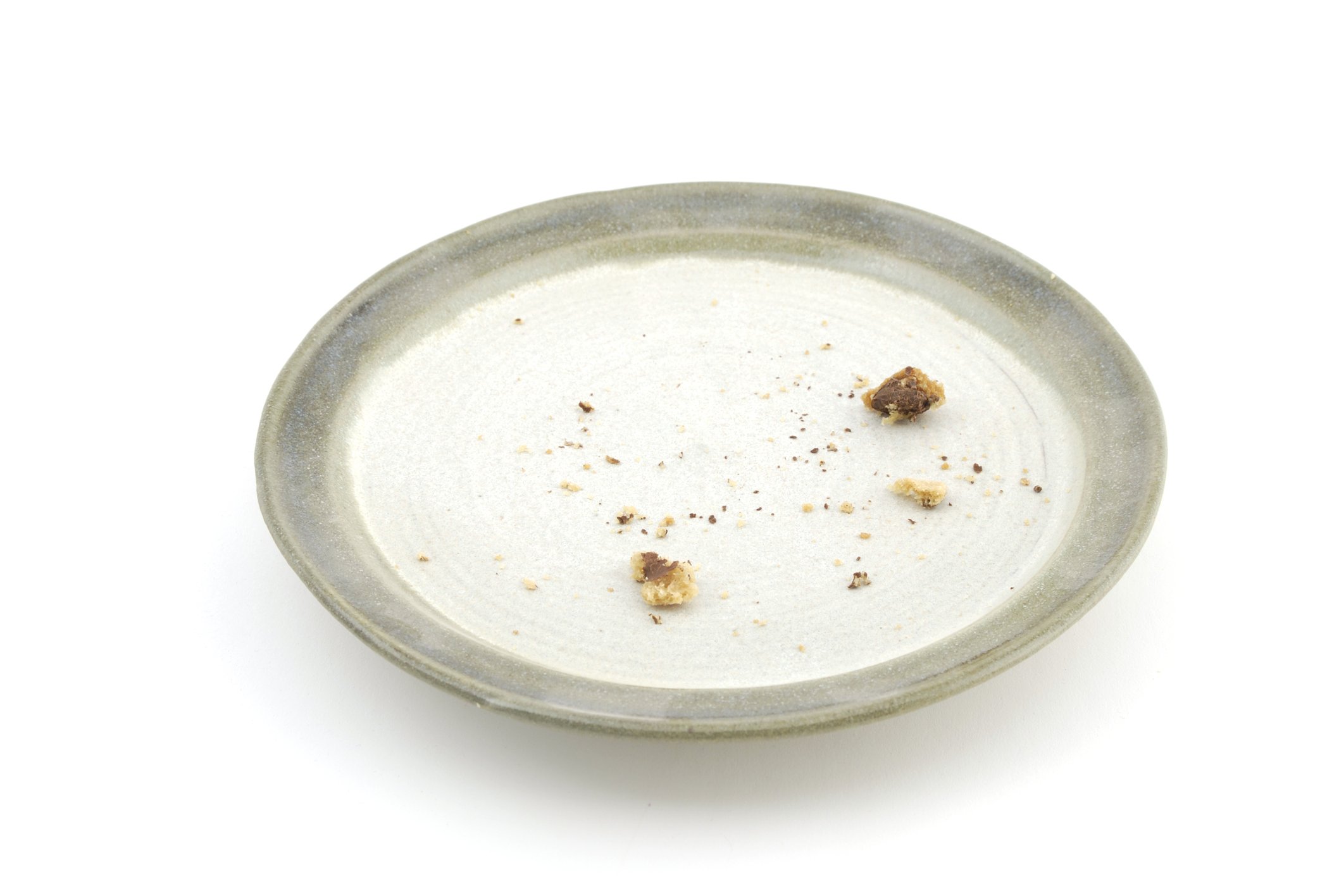 A few crumbs on an empty dinner plate.