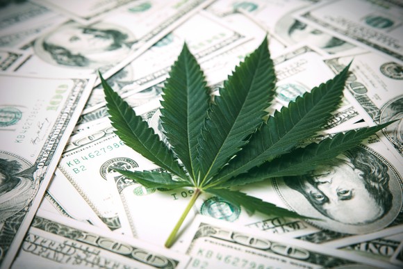 A marijuana leaf atop a messy pile of $100 bills. 
