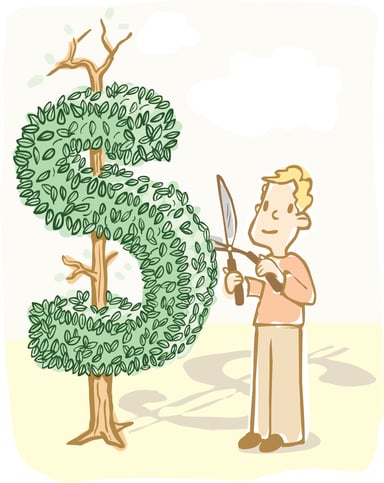 Man clipping money from a tree