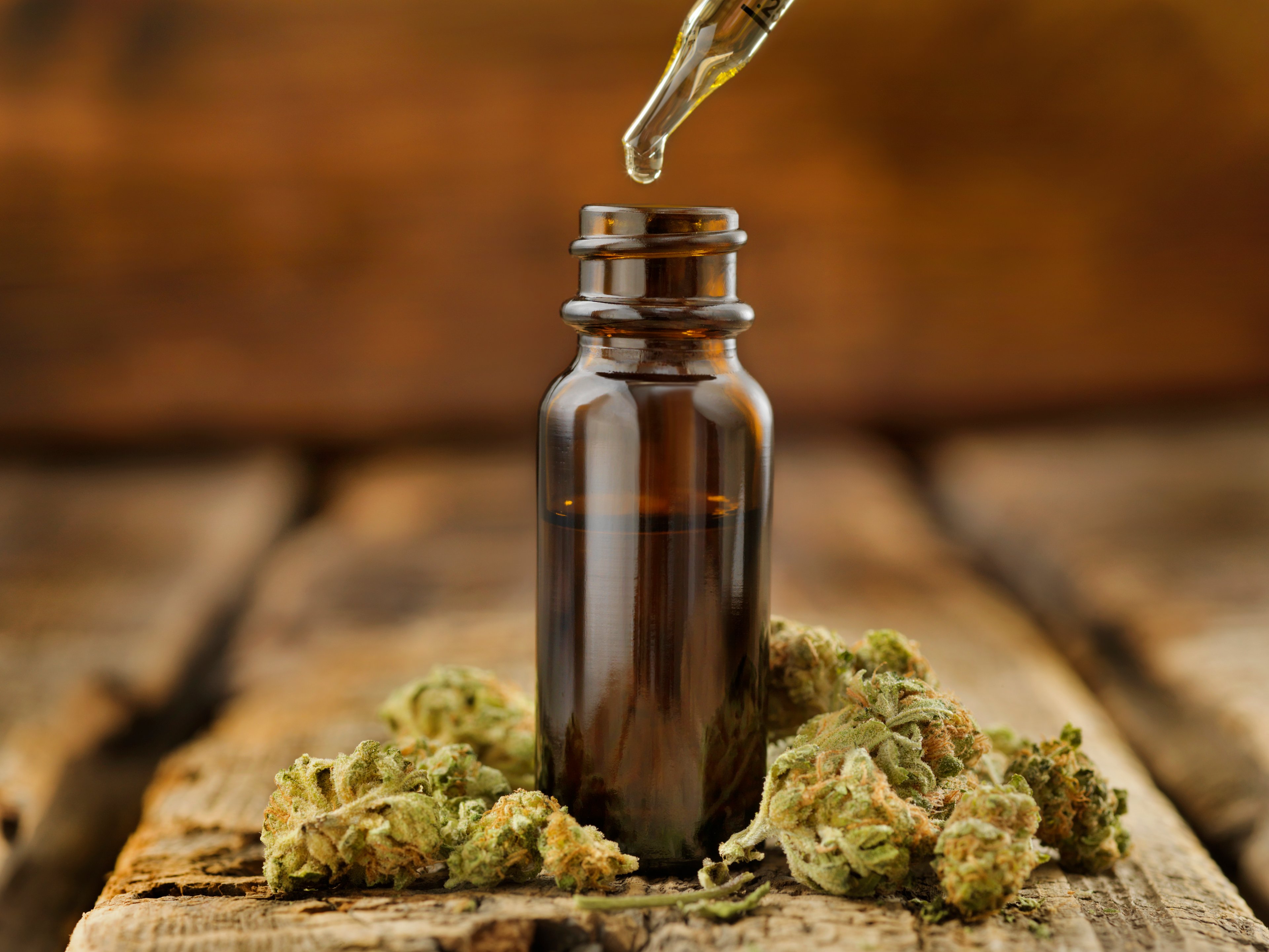 CBD oil in a bottle surrounded by dried marijuana leaves. 