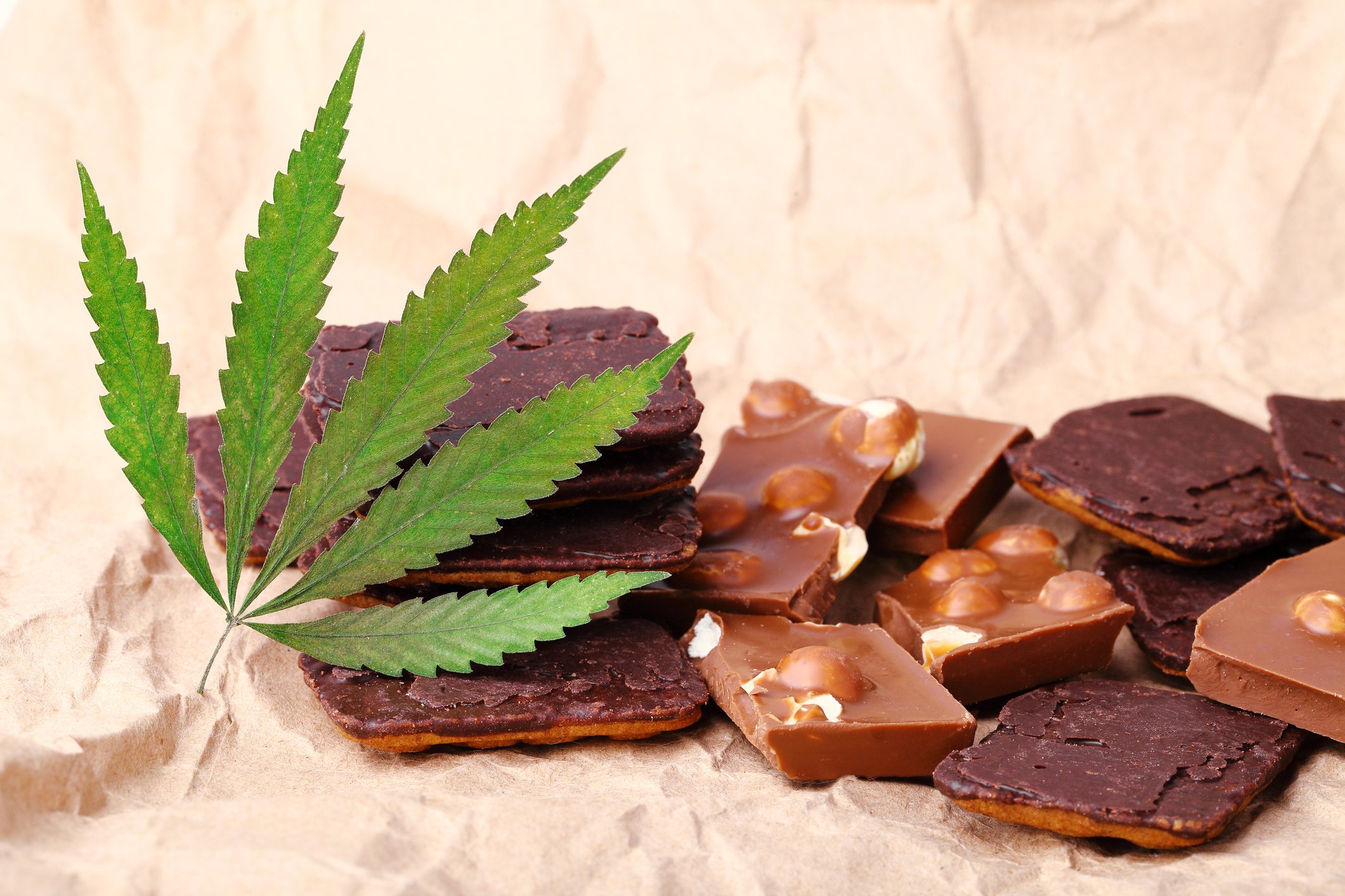 Cannabis infused chocolates and a marijuana leaf