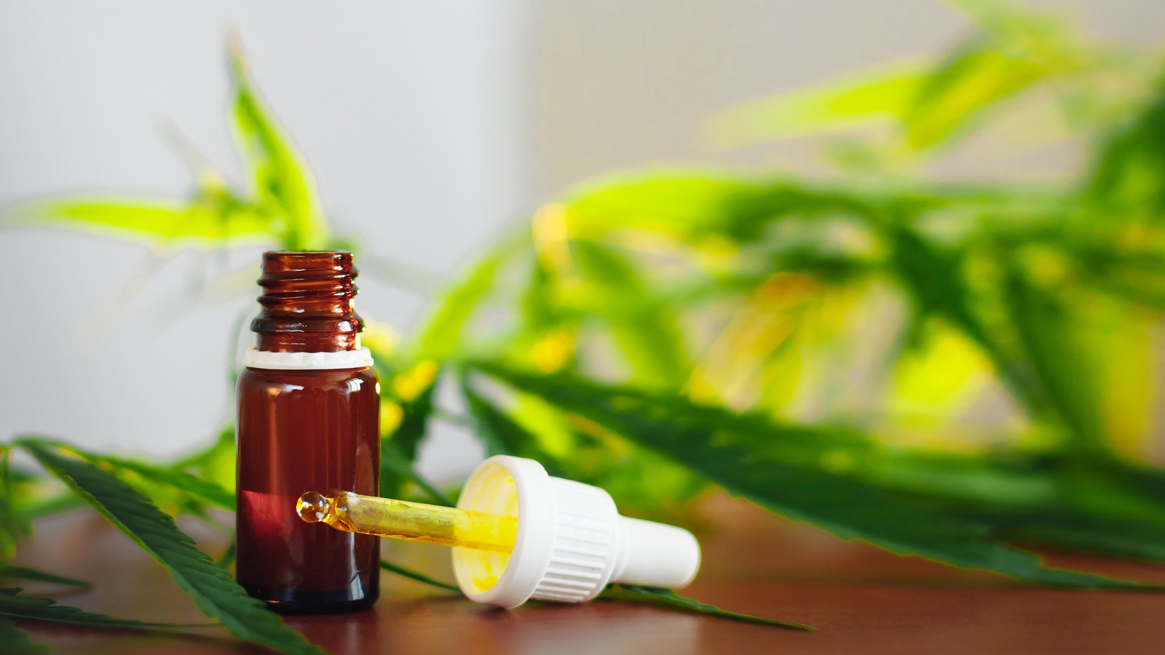 Medical cannabis CBD oil in a glass bottle beside a dropper, with marijuana leaves in the background.