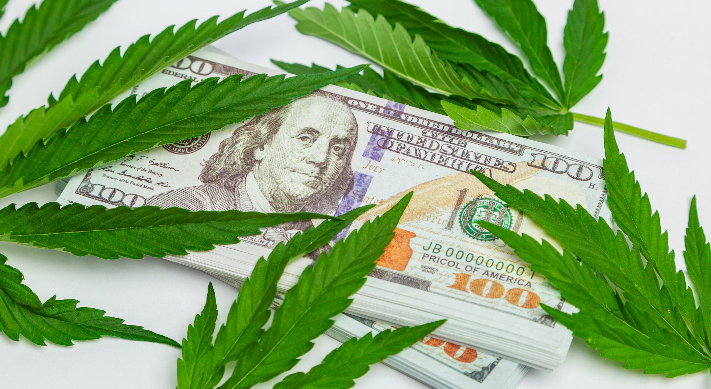$100 bills and marijuana leaves.