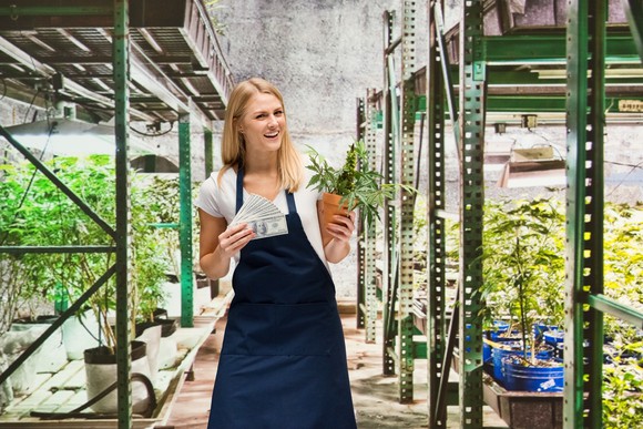 A greenhouse worker holds a handful of cash and a marijuana plant.