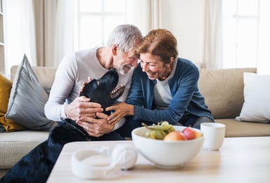 senior couple sitting on a couch petting a dog
