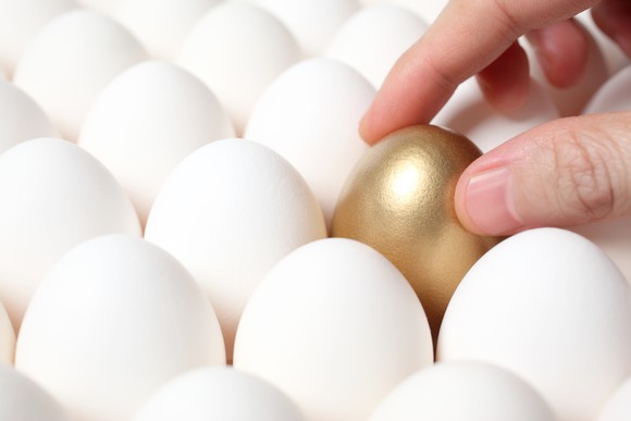 A golden egg surrounded by regular ones.