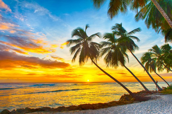 A white sand beach and leaning palm trees in front of a yellow sunset on Barbados.