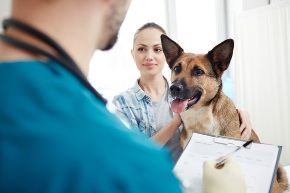 A pet owner bringing her dog to a veterinarian holding a clipboard. 