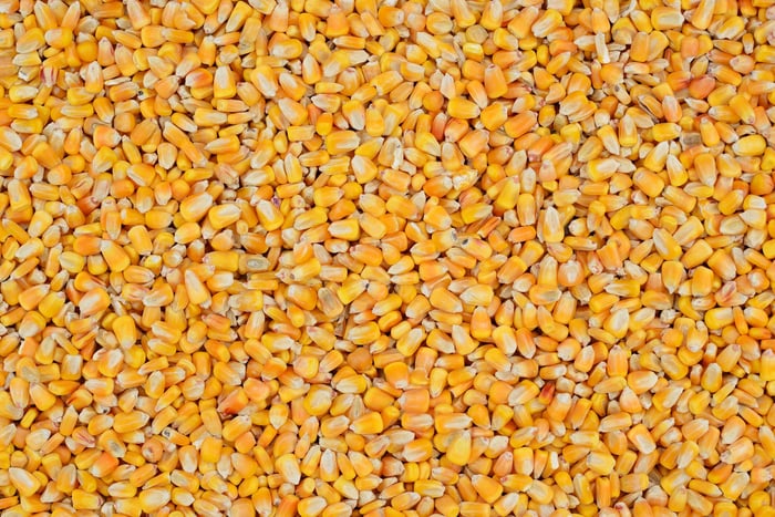 Corn kernels