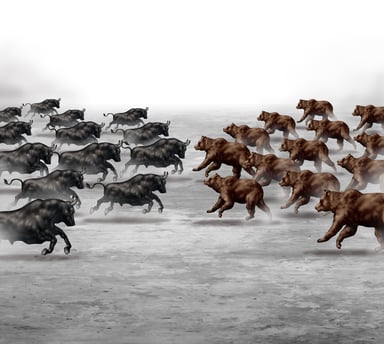 Bull vs Bear Herd