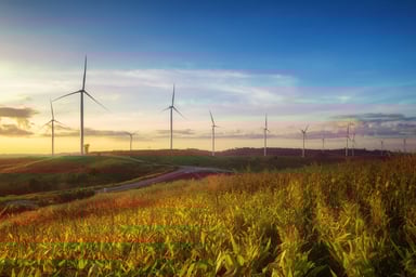 Wind turbines in a field at sunset.