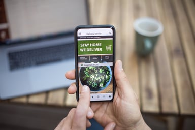 Person Holding Phone